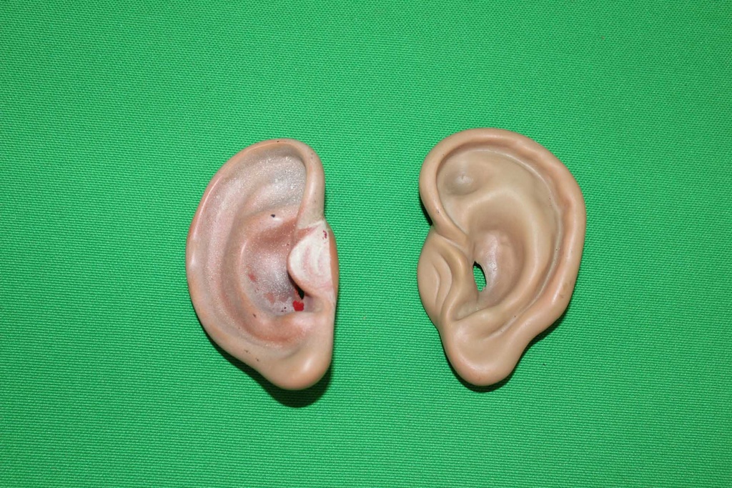 PMB-005-02.JPG