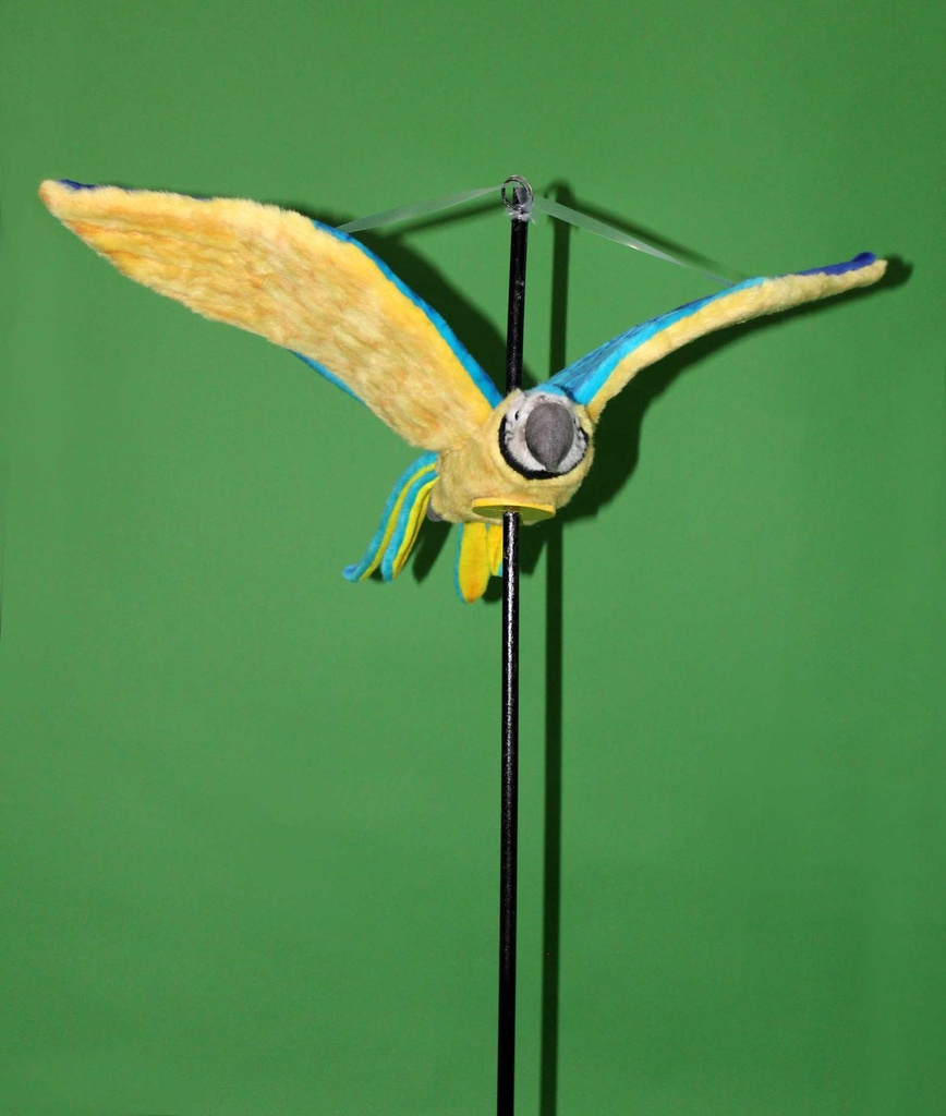 PPP-007-05.jpg