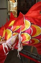 PPP-001-16.jpg