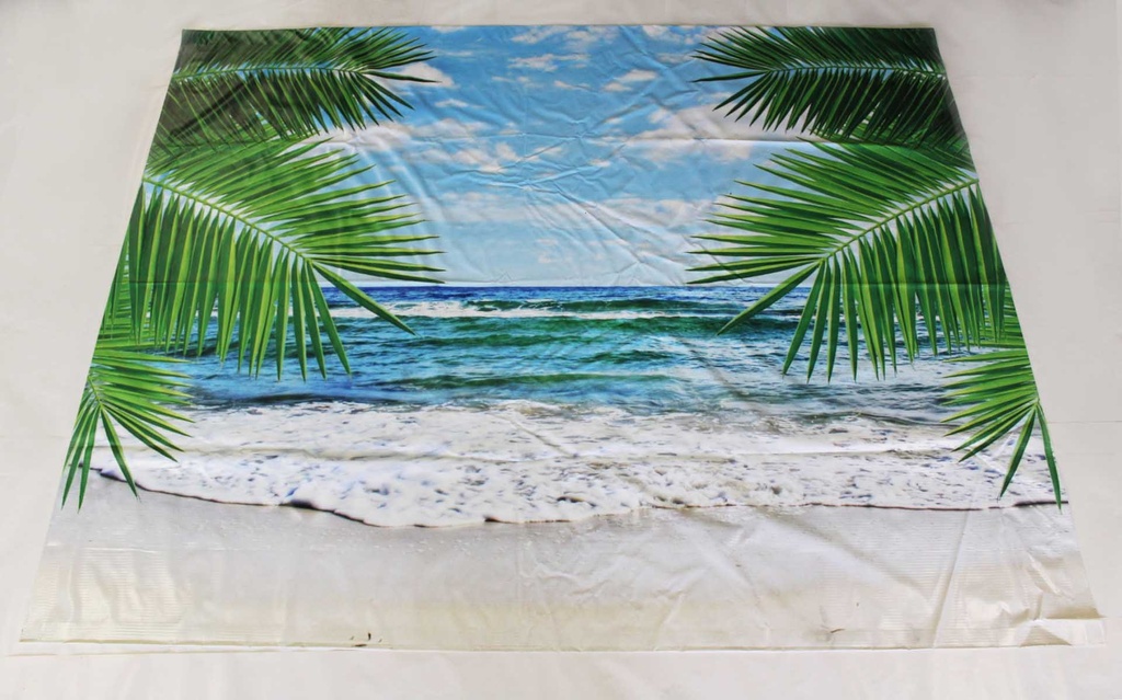 Beach Backdrop