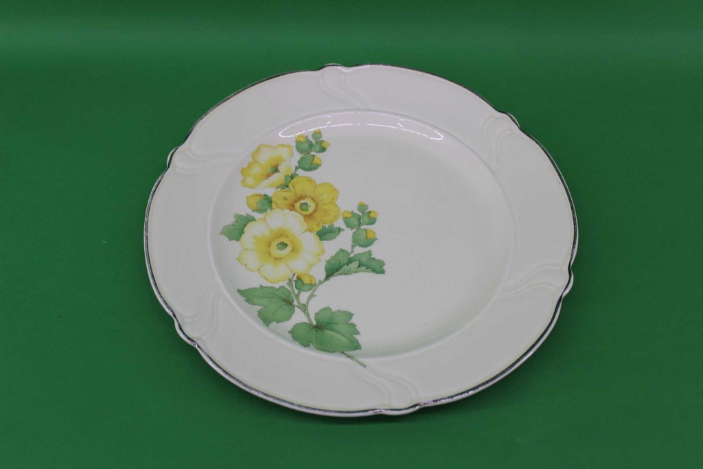 Dinner Plate