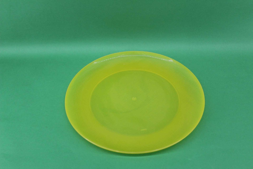 Dinner Plate