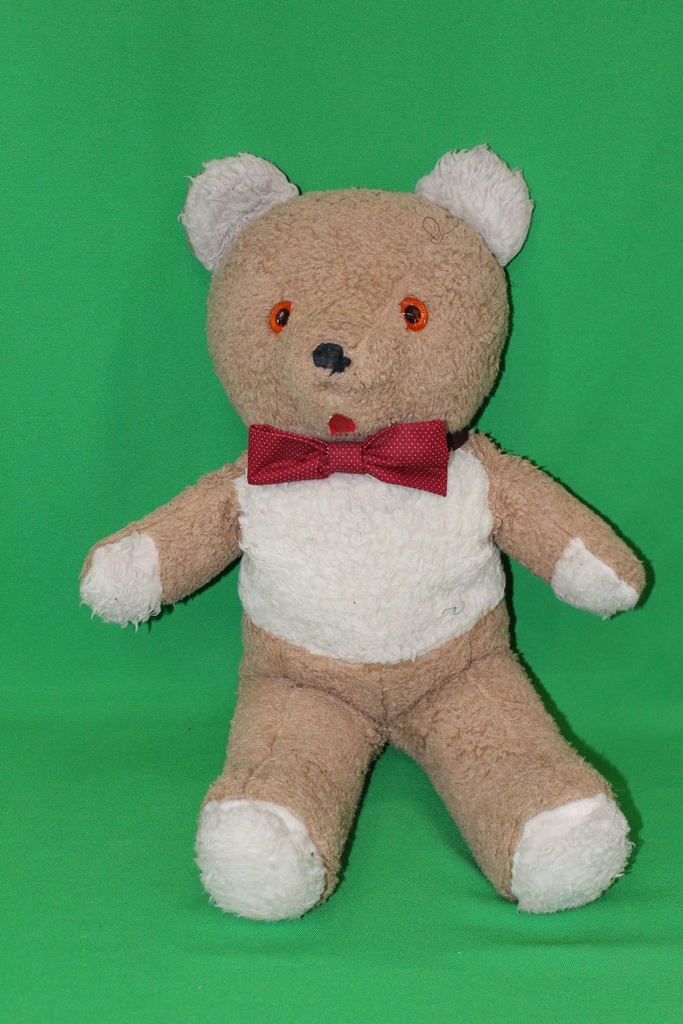 Teddy Bear