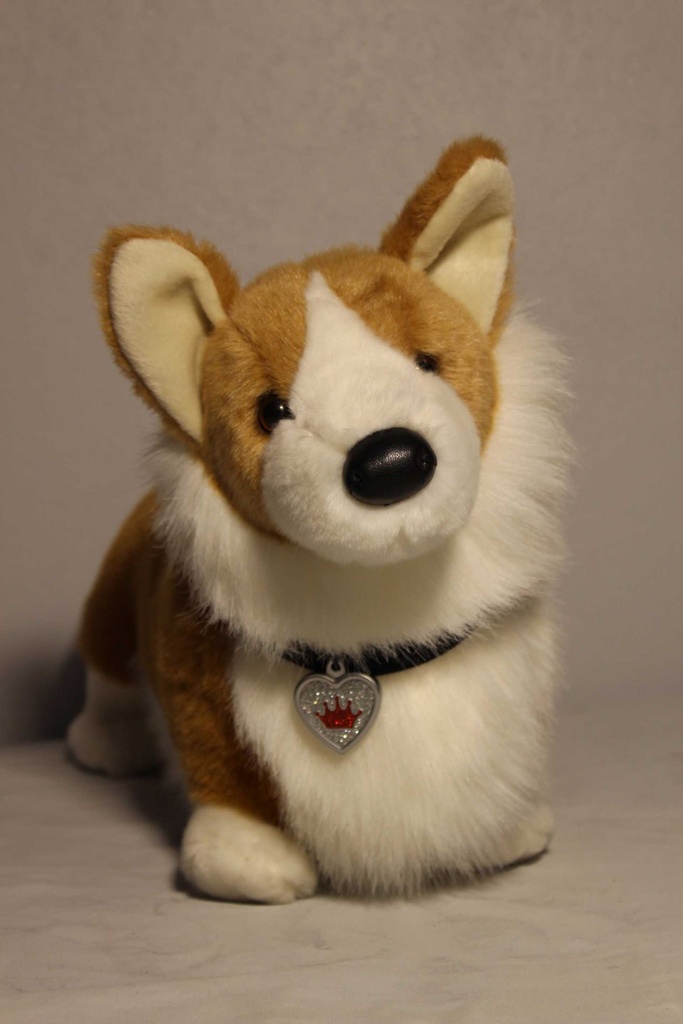 Corgi