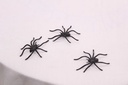 Bag of Spiders