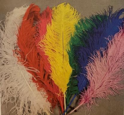 White Feathers