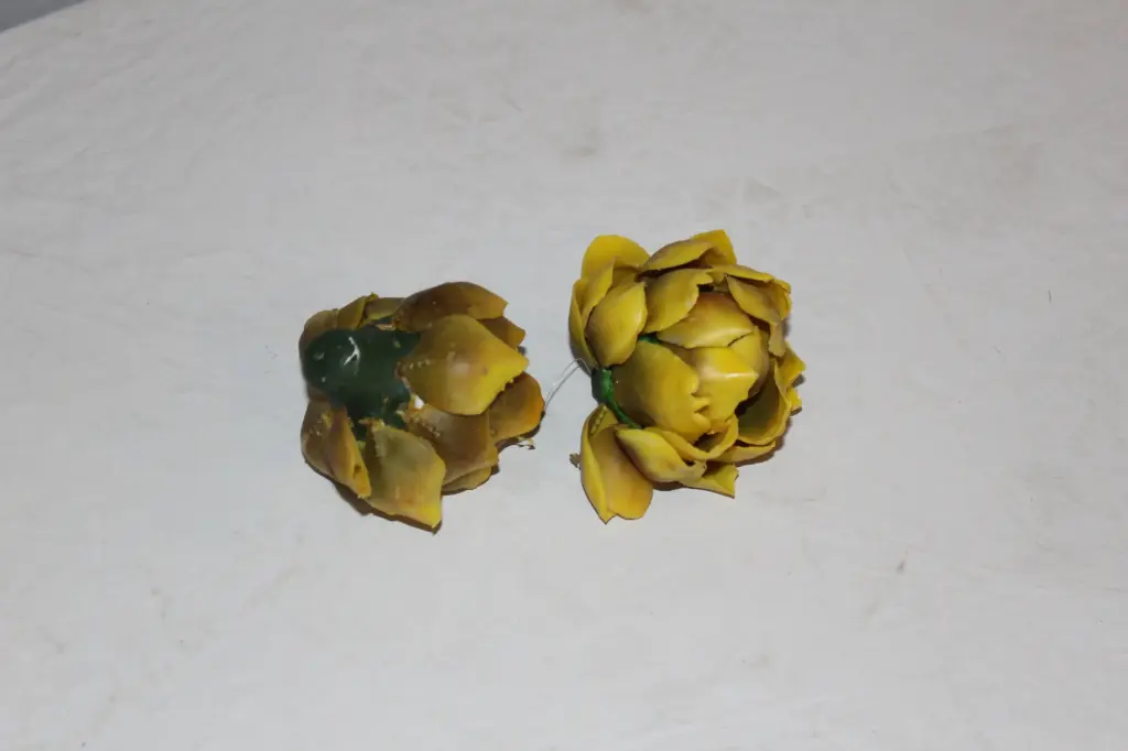 Artichoke