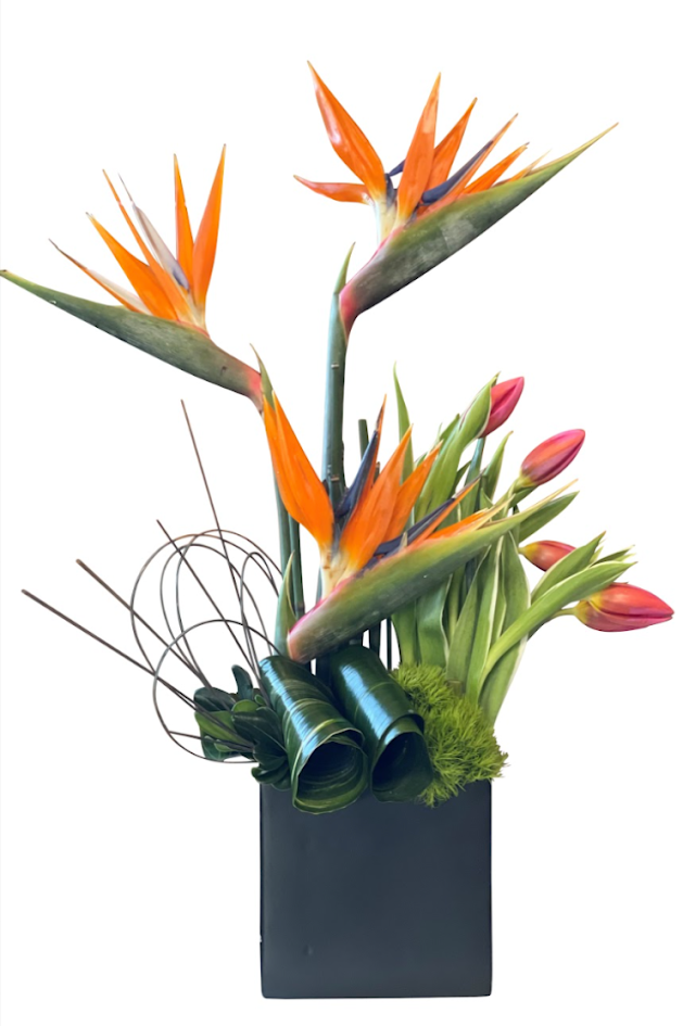 Oasis Arrangement