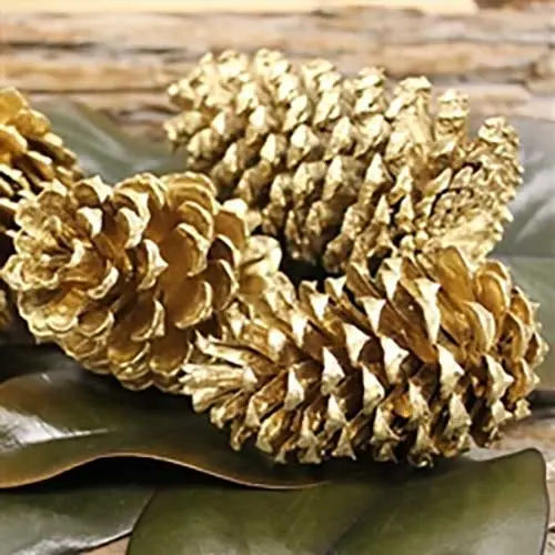 Gold Pineconem, 3-4" 