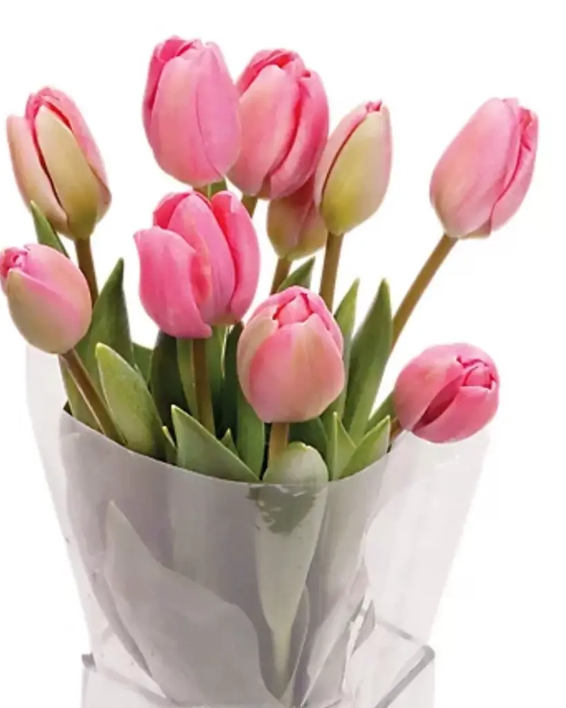 Tulip Bunch Bouquet