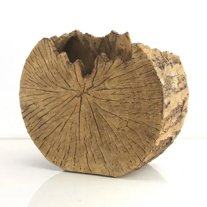 10" Ceramic Trunk Planter 