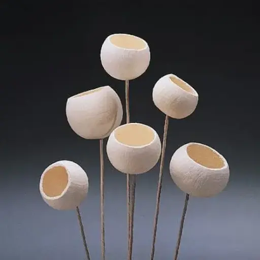 [BFF-K13202828] Bell Cup Stem - Bleached