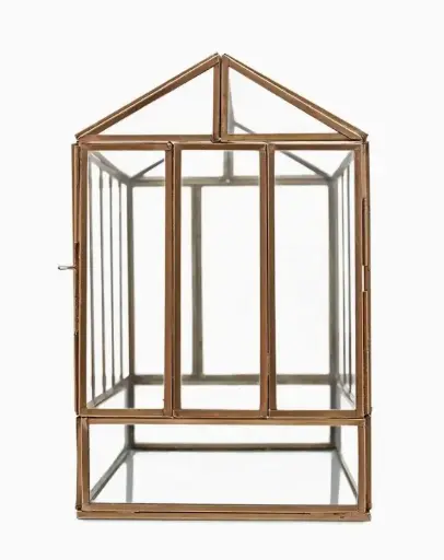[BFP-UB18019CBR] Greenhouse Brass Terrarium—10.25" X 9.75" X 6.5"