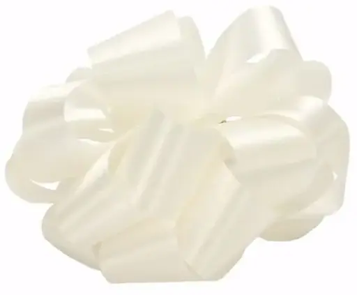 [BFS-65239] #9 Satin Ribbon