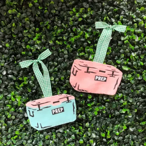 [BGD-ORN-COO-AQU-IND] Aqua/Pink Preppy Cooler Ornaments