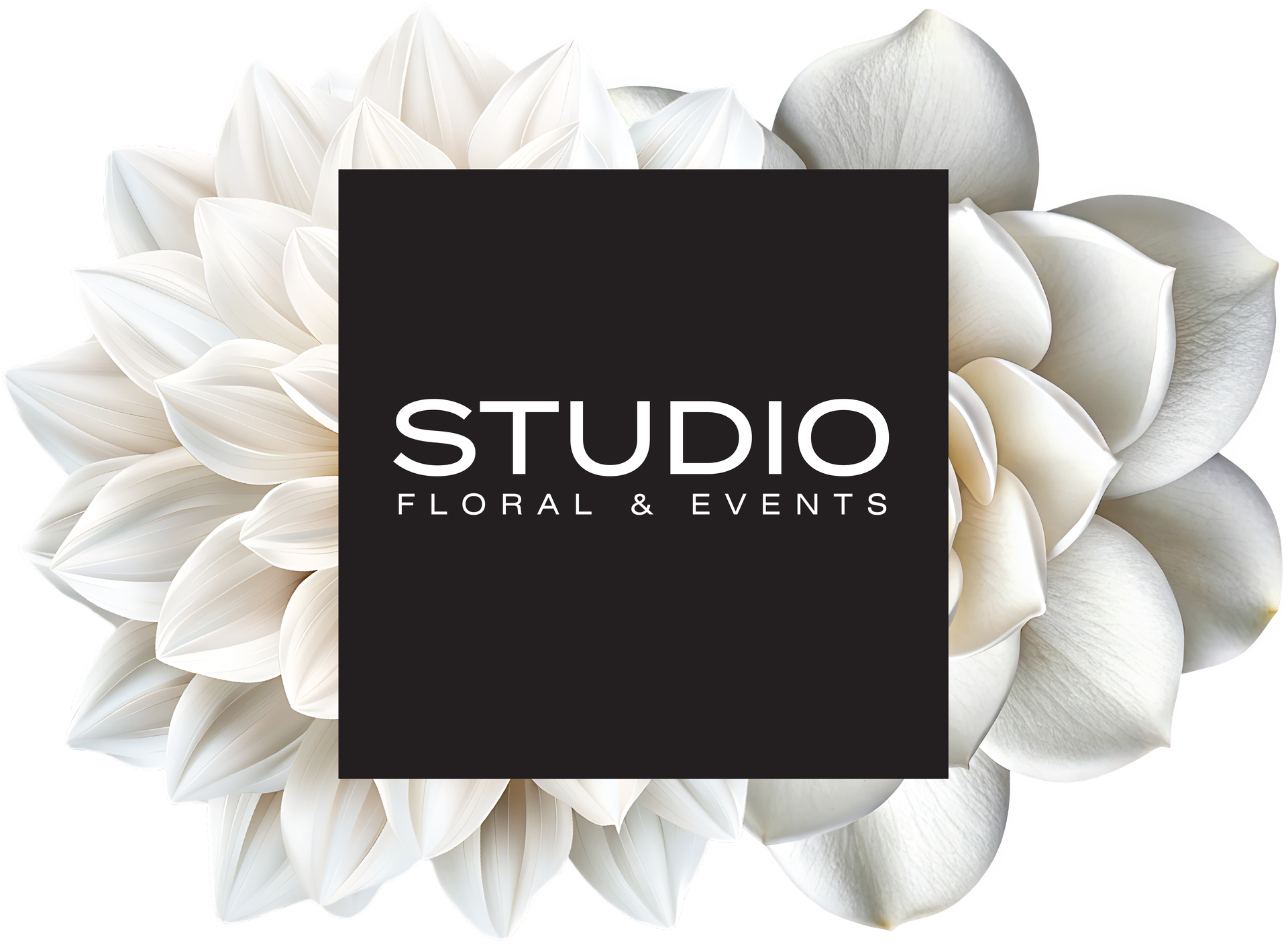 Studio Floral and Events